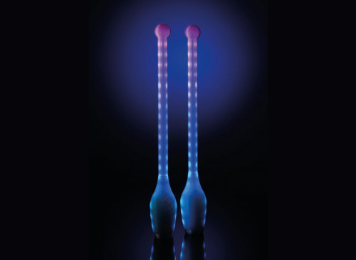Rhythmic Gymnastics Club LD
