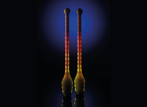 Rhythmic Gymnastics Club LD